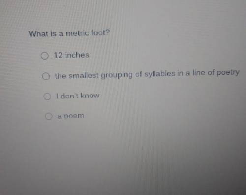 Help Me ASAP!What is a metric foot?​