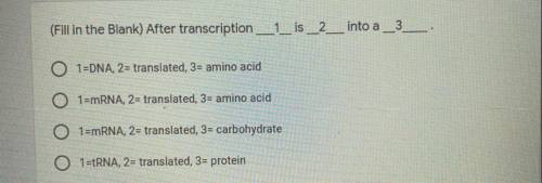 (Fill in the Blank) After transcription_1_is__2_into a _3___.

O 1=DNA, 2= translated, 3= amino ac