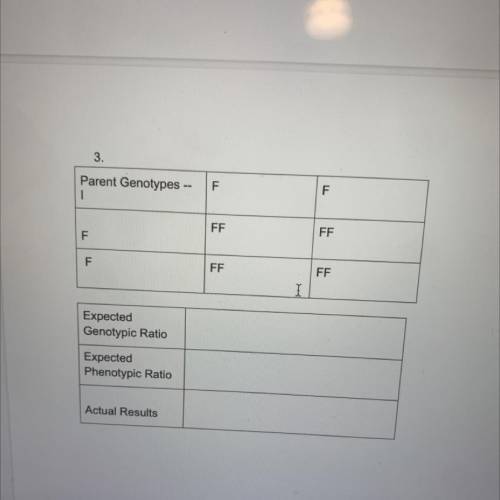 What would be the expected genotype and phenotype ratios and the actual results if they both have b