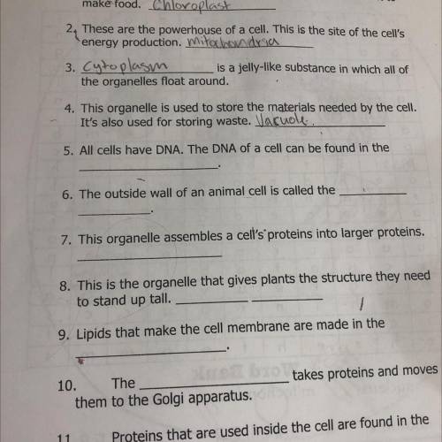 5. All cells have DNA. The DNA of a cell can be found in the
I need help
I’m clueless