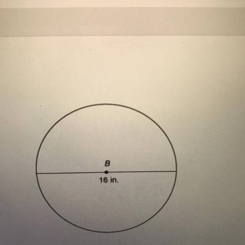 What is the exact circumference of the circle?
871 in
167 in.
321 in.
4877 in.
