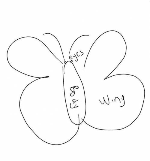 Draw the picture of butterfly and label and any three parts​