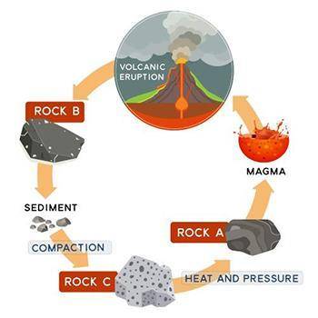 The diagram below shows part of the rock cycle.

Which type of rock does A represent?
Group of ans