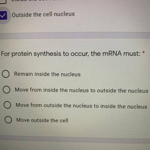*

For protein synthesis to occur, the mRNA must:
O Remain inside the nucleus
O Move from inside t