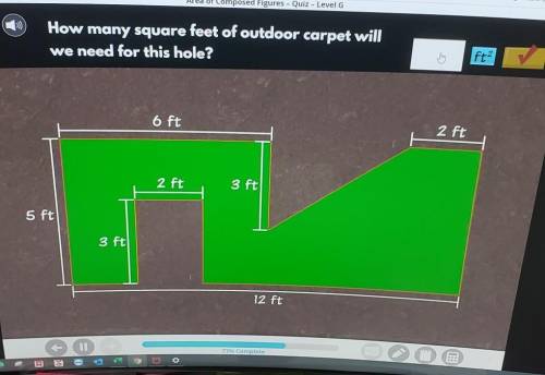 Help! How many square feet of outdoor carpet will we need for this hole​