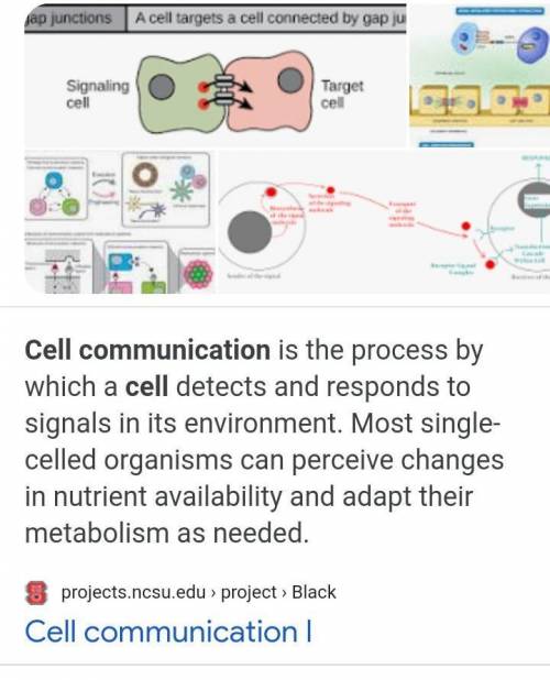 Help I have a test!!!
what is cell communication?