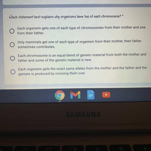Please help me with this question about chromosomes