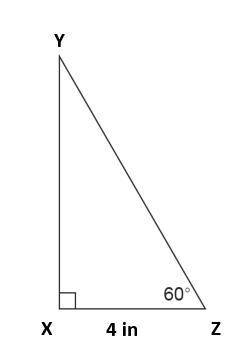 What is the area of triangle  XYZ to the nearest tenth of a square inch? Use special right triang