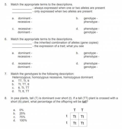 I need help with this! Please help me, questions are in the picture!