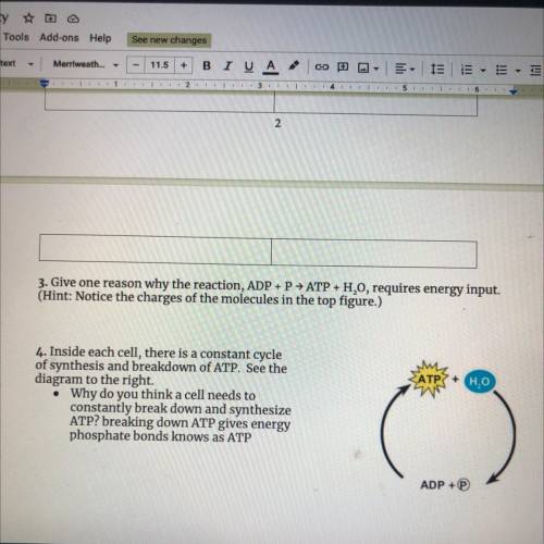 3. Give one reason why the reaction, ADP + P > ATP + H20, requires energy input.

(Hint: Notice