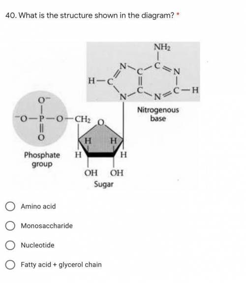 What is the structure shown in the diagram?

A.) Amino acid
B.) Monosaccharide
C.) Nucleotide
D.)