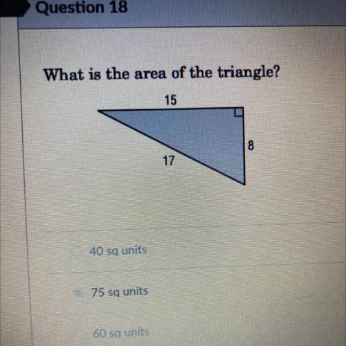 What is the area of the triangle?
40
75
60
120