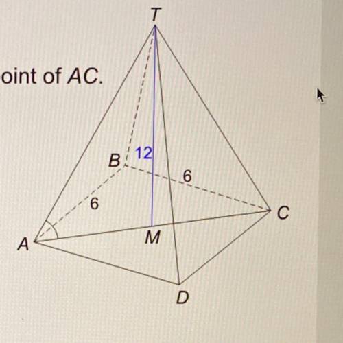 Here is a pyramid with a square base ABCD.

AB= 6 m
The vertex T is 12 m verically above M, the mi