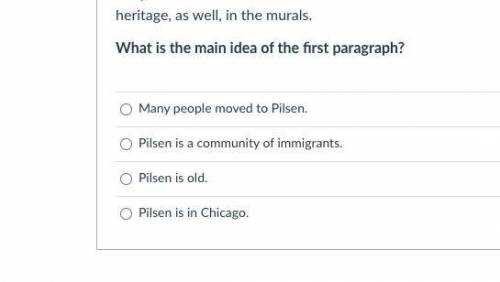 Pilsen is an old community in Chicago with a long history. This part of Chicago started small and g