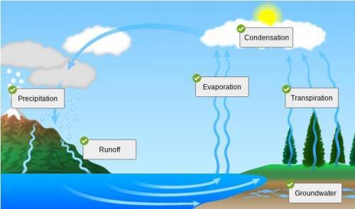 Type one to two paragraphs describing the full water cycle. Be sure to use full sentences and prope