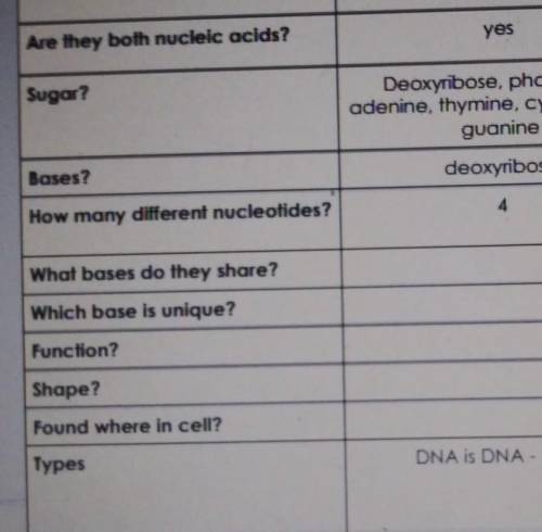 Helpp this is due today its DNA and RNA ​
