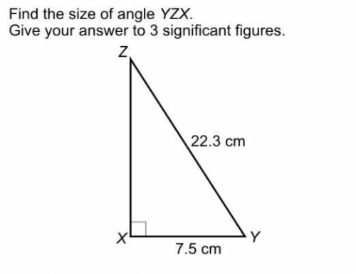 Find the size of the angle yzx. Give your answer to 3 significant figures