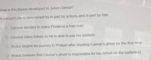 PLS HELP ASAP
how is this theme developed in julius caesar?