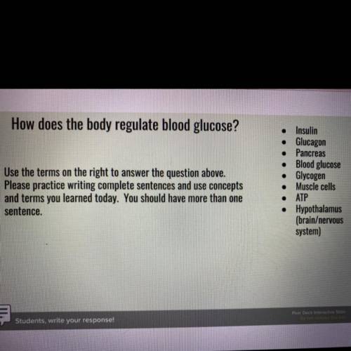 How does the body regulate blood glucose? Please use the vocab on the right side