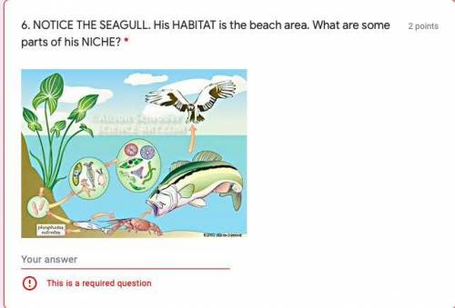 NOTICE THE SEAGULL. His HABITAT is the beach area. What are some parts of his NICHE? please help