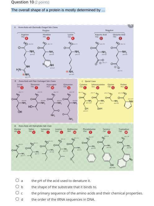 The overall shape of a protein is mostly determined by …