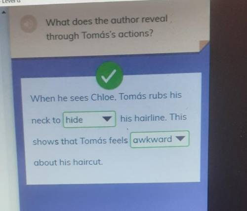 What does the author reveal through Tomás's actions? ​