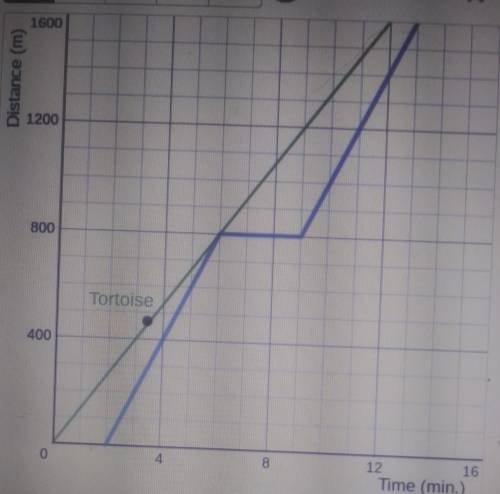 The blue graph shows what Brielle drew to represent the dog's distance vs. time. At least one of th