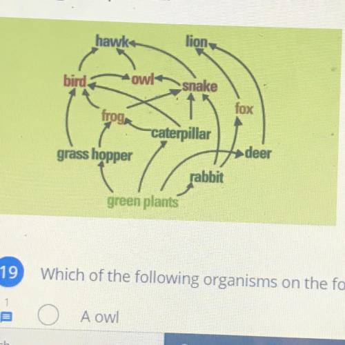 Which of the following organisms on the food web shown above is a primary consumer

A: duck
B: rab