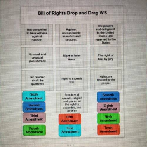 Bill of Rights Drop and Drag WS
