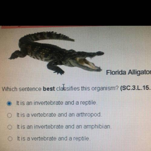 Question 7 of 13 -

This organism has a backbone. It is cold blooded, breathes air
Florida Alligat
