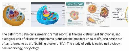 ¿Qué es la célula?
ayud