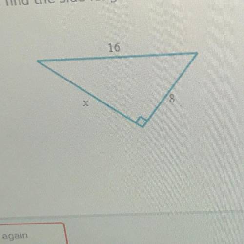 For the following right triangle find the side length x , round your answer to the nearest hundredt