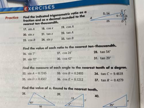 I need all of the even numbered questions pls.
No need for explanation, except for 38 and 40