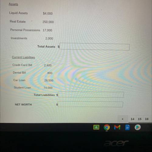 What is the total assets , liabilities & net worth? also what is this document called?