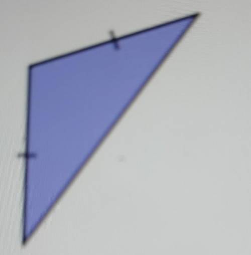 12. Classify the triangle by side length and angle measurement. (1 point) A. equilateral, acute B.i