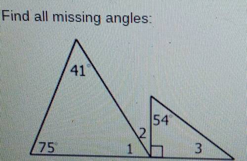 Find all missing angles: ​