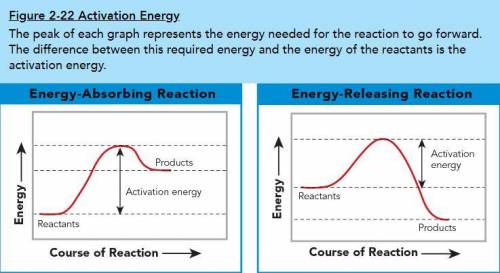 How does the energy of the reactants and products differ between an energy-absorbing reaction and a