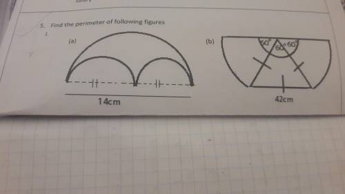 I need the perimeter of this two asap!!
u will get the brainlezt for the best answer