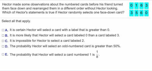 Hector made some observations about the numbered cards before his friend turned them face down and