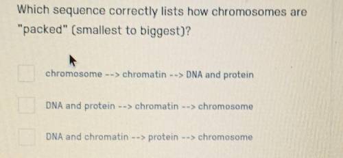 Which sequence correctly list how chromosomes are packed smallest to largest

chromosomes, chromat