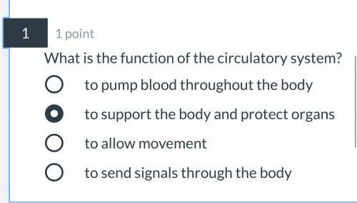 What is the function of the circulatory system. I forgot!