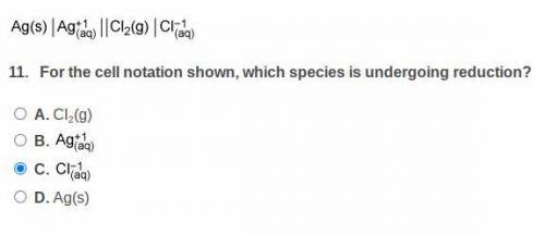 For the cell notation shown which species is undergoing reduction