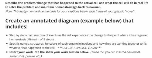 PLEASE HELP ME BIOLOGY I BEG!! DUE IN 2 HOURS(SECOND IMAGE IS AN EXAMPLE)USING THE ORGANELLES NUCEL