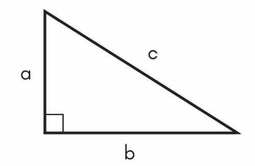 PLS HURRY I NEED AN EXPLANATION

Can someone pls give me an example on how to solve hypotenuse