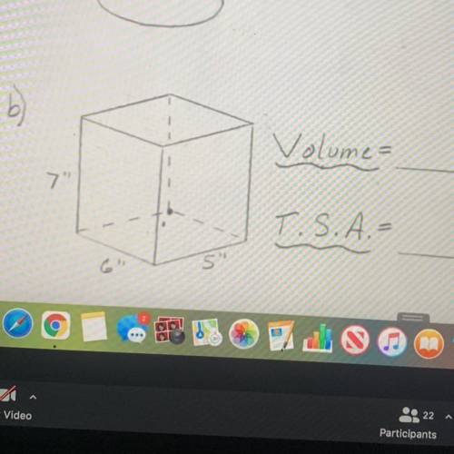 Can i have help solving the volume and tsa