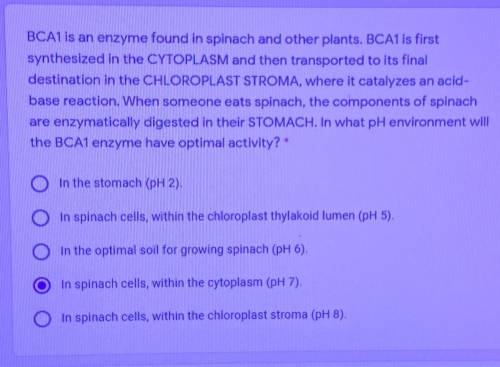 BaCA1 is an enzyme found in spinach and other plants. (refer to pic)