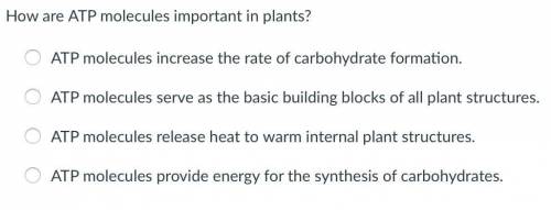 How are ATP molecules important in plants?