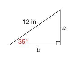 In the figure below, solve for the value of b. b = ______ in. (round to the nearest tenth and do NO
