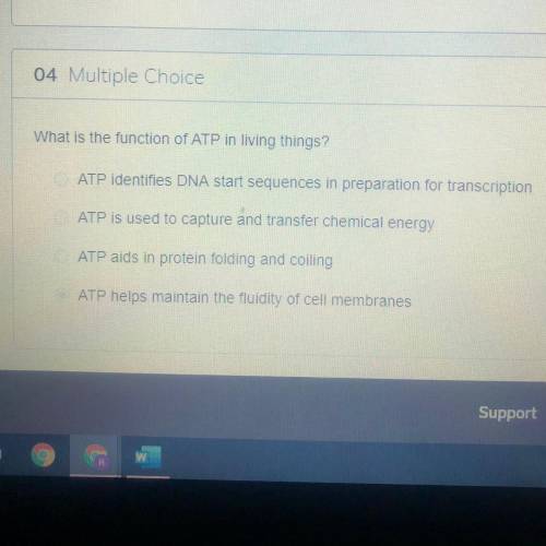 What is the function of ATP in living things?