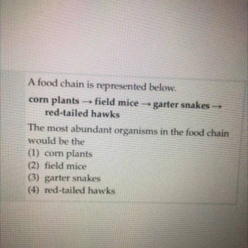 A food chain is represented below.

corn plants field mice - garter snakes -
red-tailed hawks
The